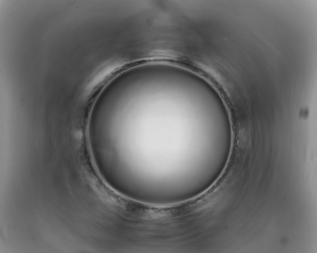 X0000092061407200709191132