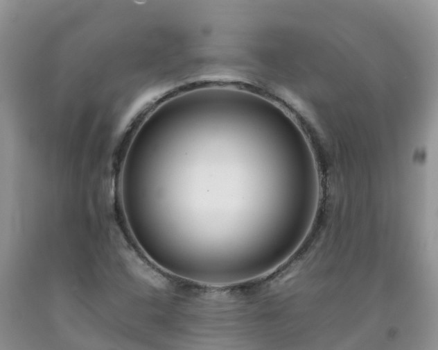 X0000092061408200709191132