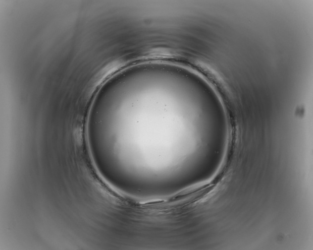 X0000092061409200709191132