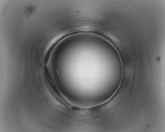 X0000092061410200709191132