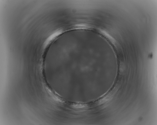 X0000092061411200709191132