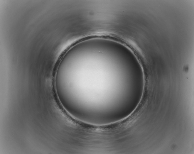 X0000092061412200709191132