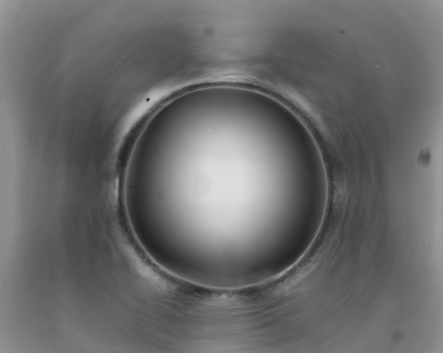 X0000092061414200709191132