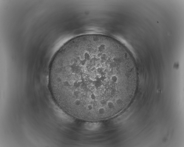 X0000092061415200709191132