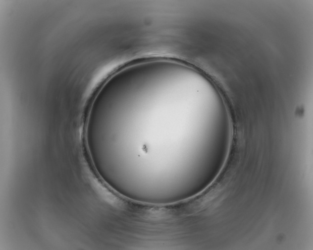 X0000092061416200709191132