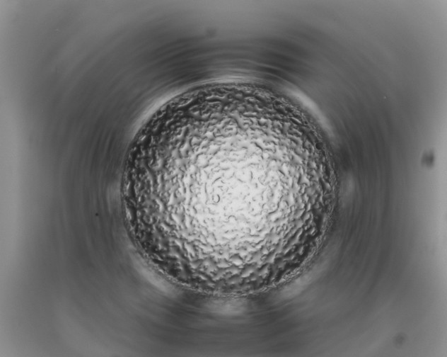 X0000092061417200709191132