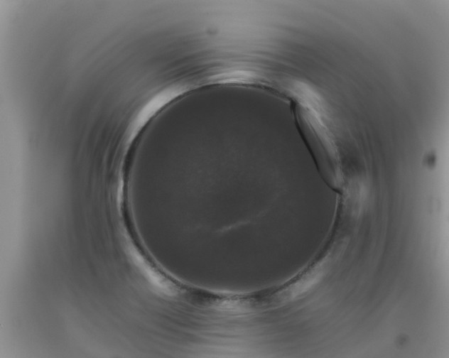 X0000092061418200709191132