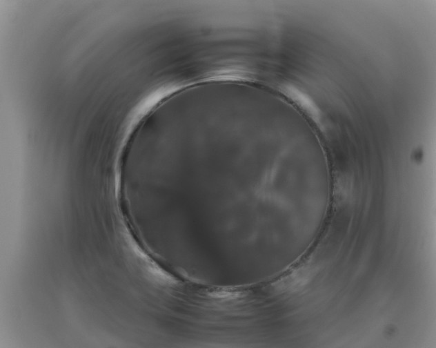 X0000092061419200709191132