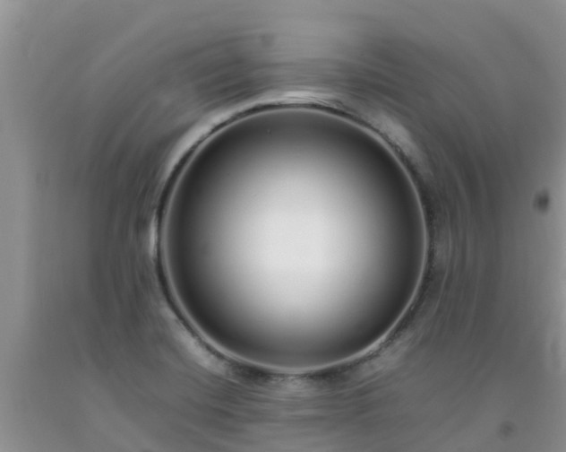 X0000092061420200709191132