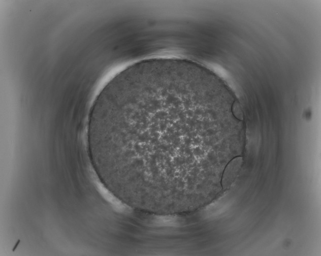 X0000092061421200709191132