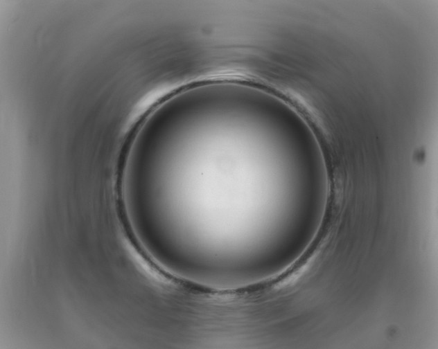 X0000092061422200709191132