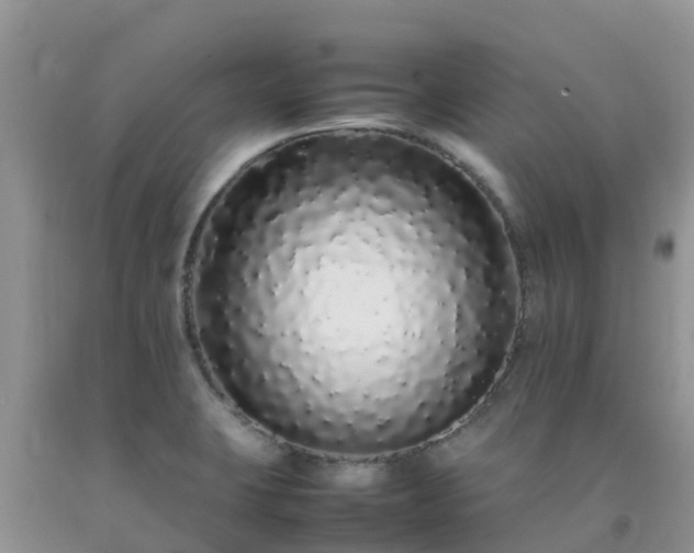 X0000092061423200709191132