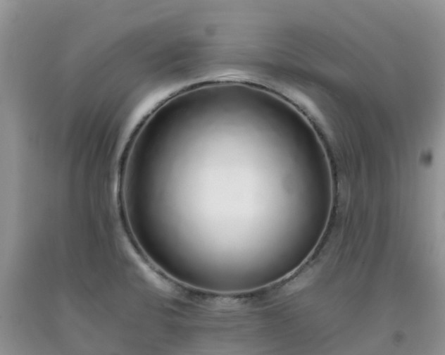 X0000092061424200709191132