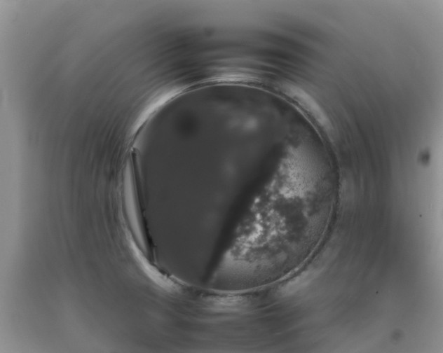 X0000092061425200709191132