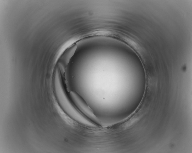 X0000092061426200709191132