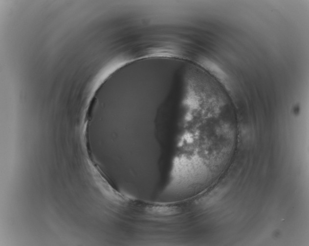 X0000092061427200709191132