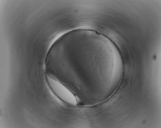 X0000092061428200709191132