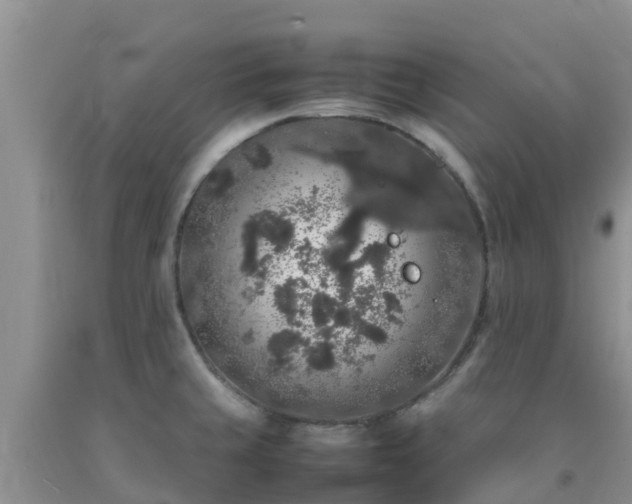 X0000092061429200709191132