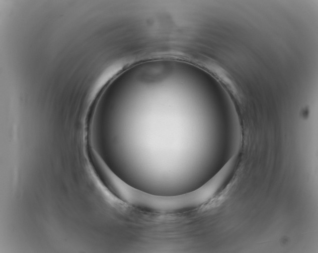 X0000092061430200709191132