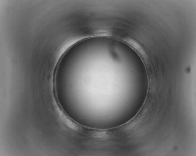 X0000092061431200709191132