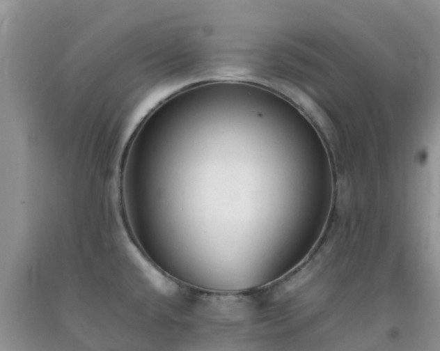 X0000092061432200709191132