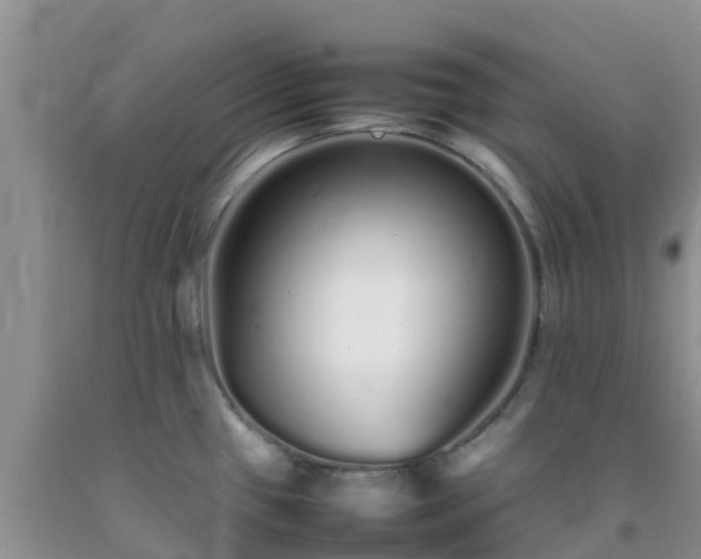 X0000092061433200709191132