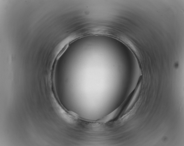 X0000092061434200709191132