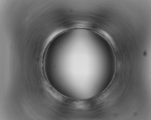 X0000092061435200709191132