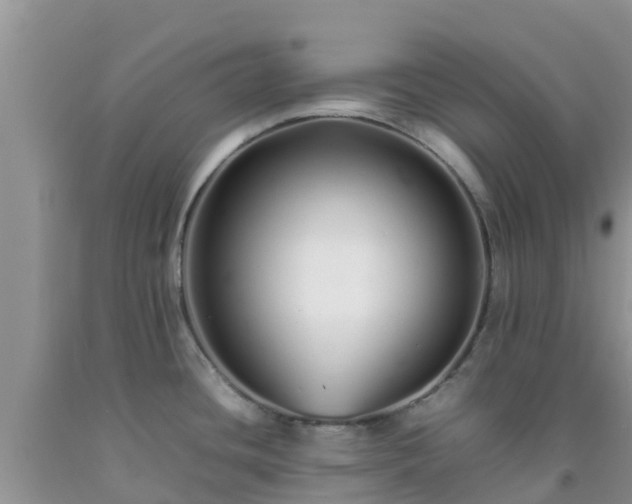 X0000092061436200709191132