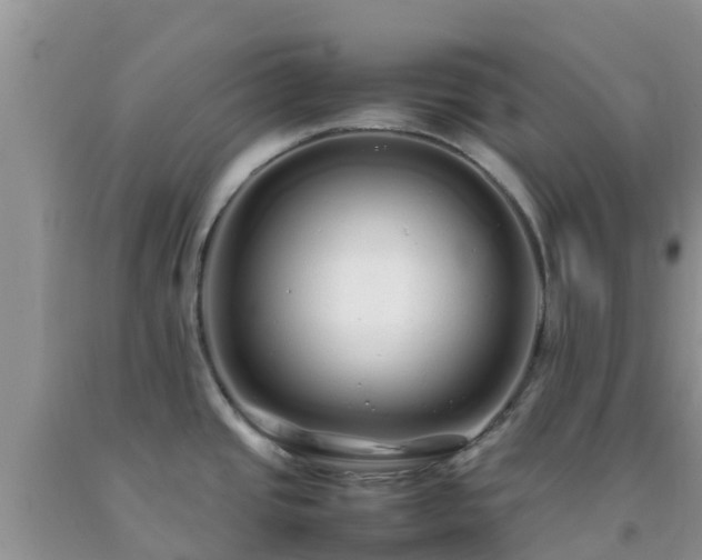 X0000092061437200709191132