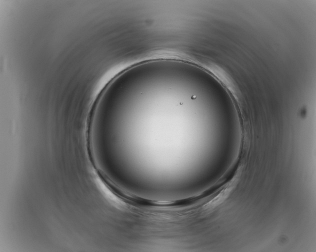 X0000092061438200709191132