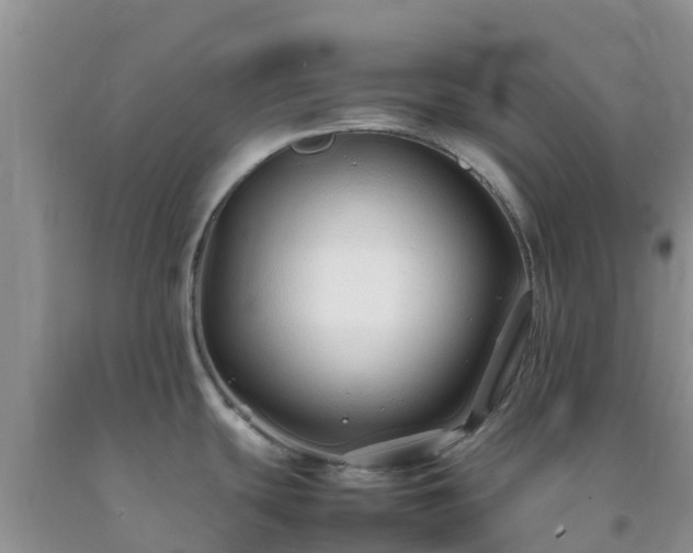 X0000092061439200709191132