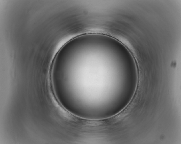 X0000092061440200709191132