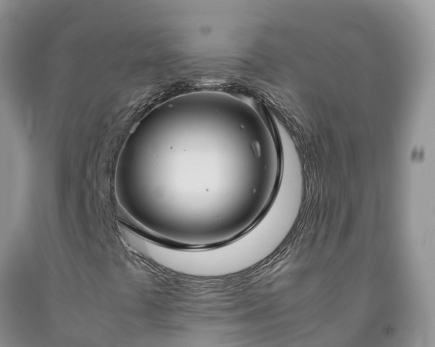 X0000092061441200709191131