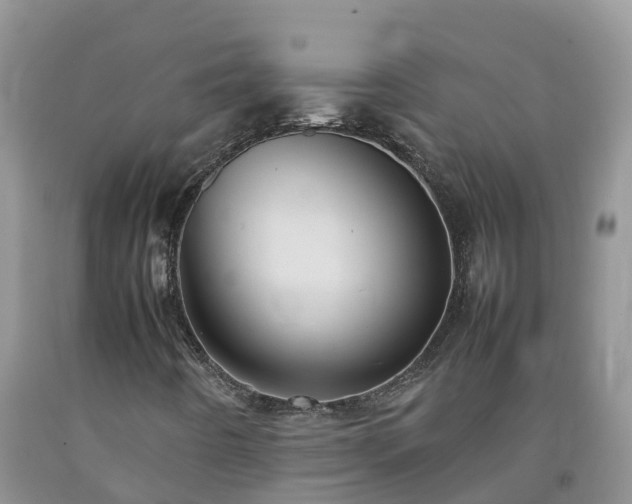 X0000092061442200709191131