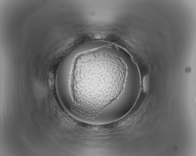 X0000092061443200709191131