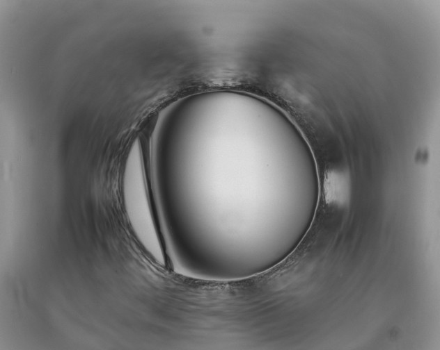 X0000092061444200709191131