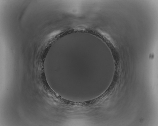 X0000092061445200709191131