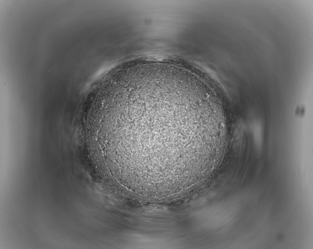 X0000092061446200709191131