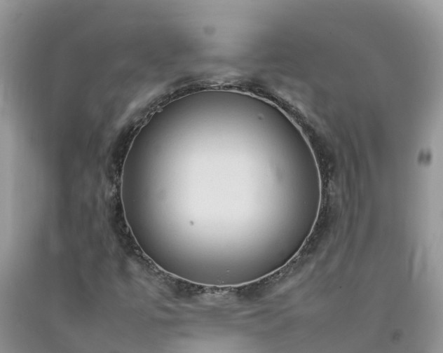 X0000092061447200709191131