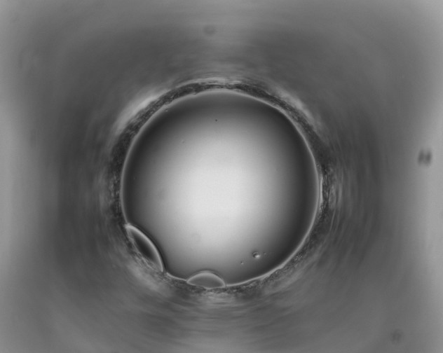 X0000092061448200709191131