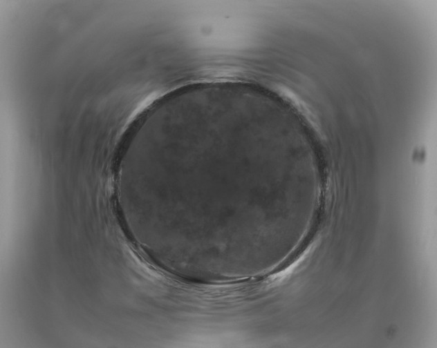 X0000092061449200709191131