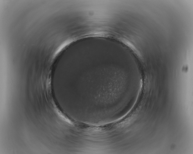 X0000092061450200709191131