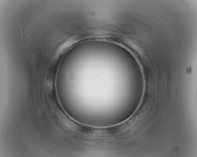 X0000092061451200709191131