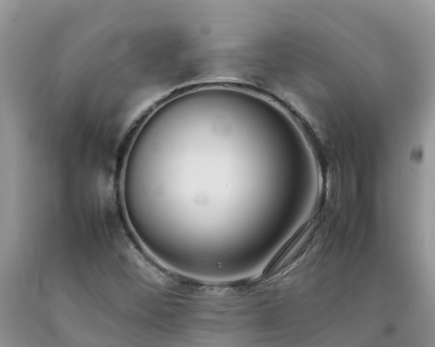 X0000092061452200709191131