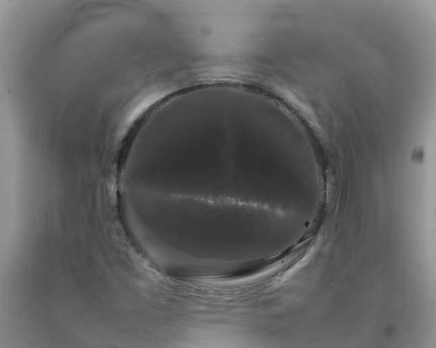 X0000092061453200709191131