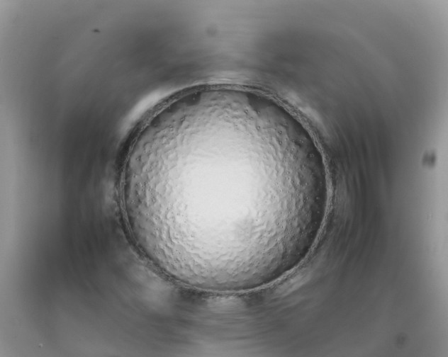 X0000092061454200709191131