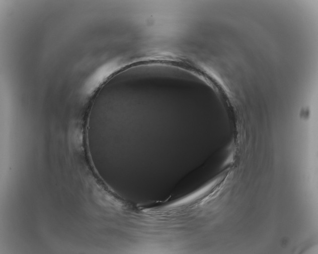 X0000092061455200709191131