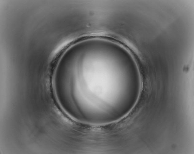 X0000092061456200709191131