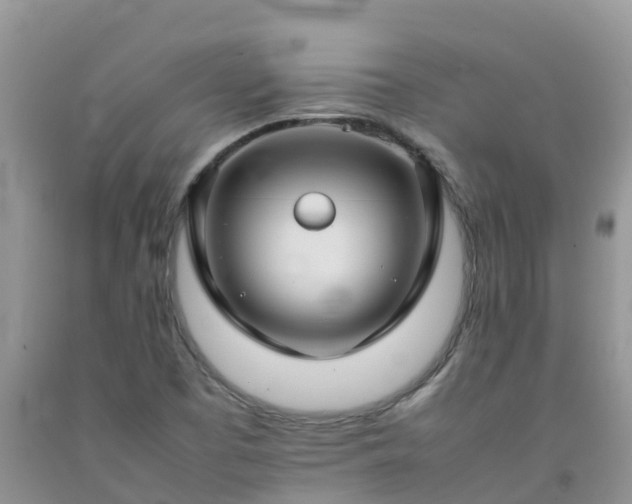 X0000092061457200709191131